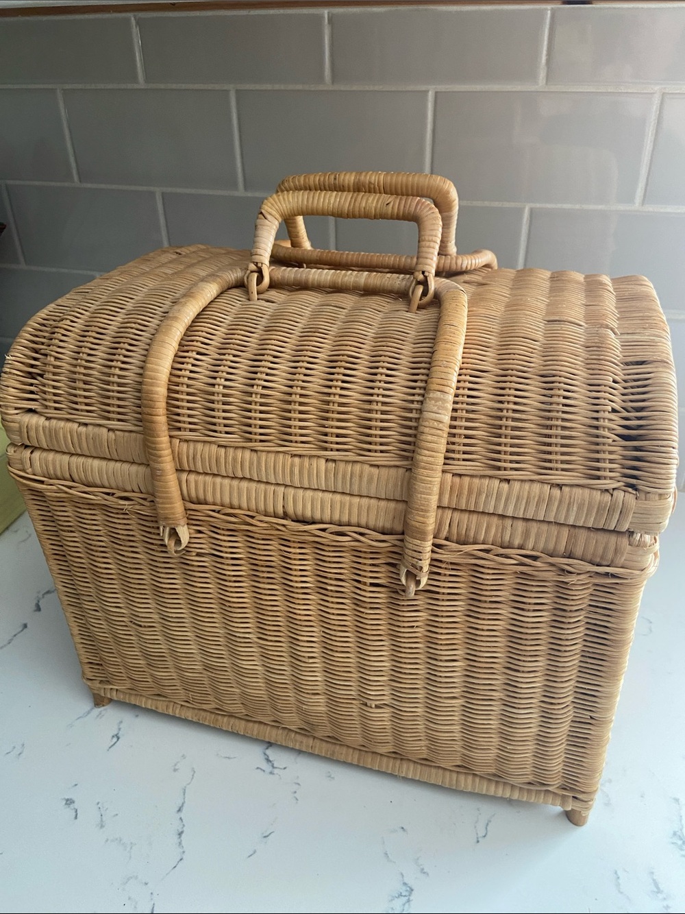 Vintage Wicker Storage Basket w Handle Boho Rattan Sewing Craft Chest